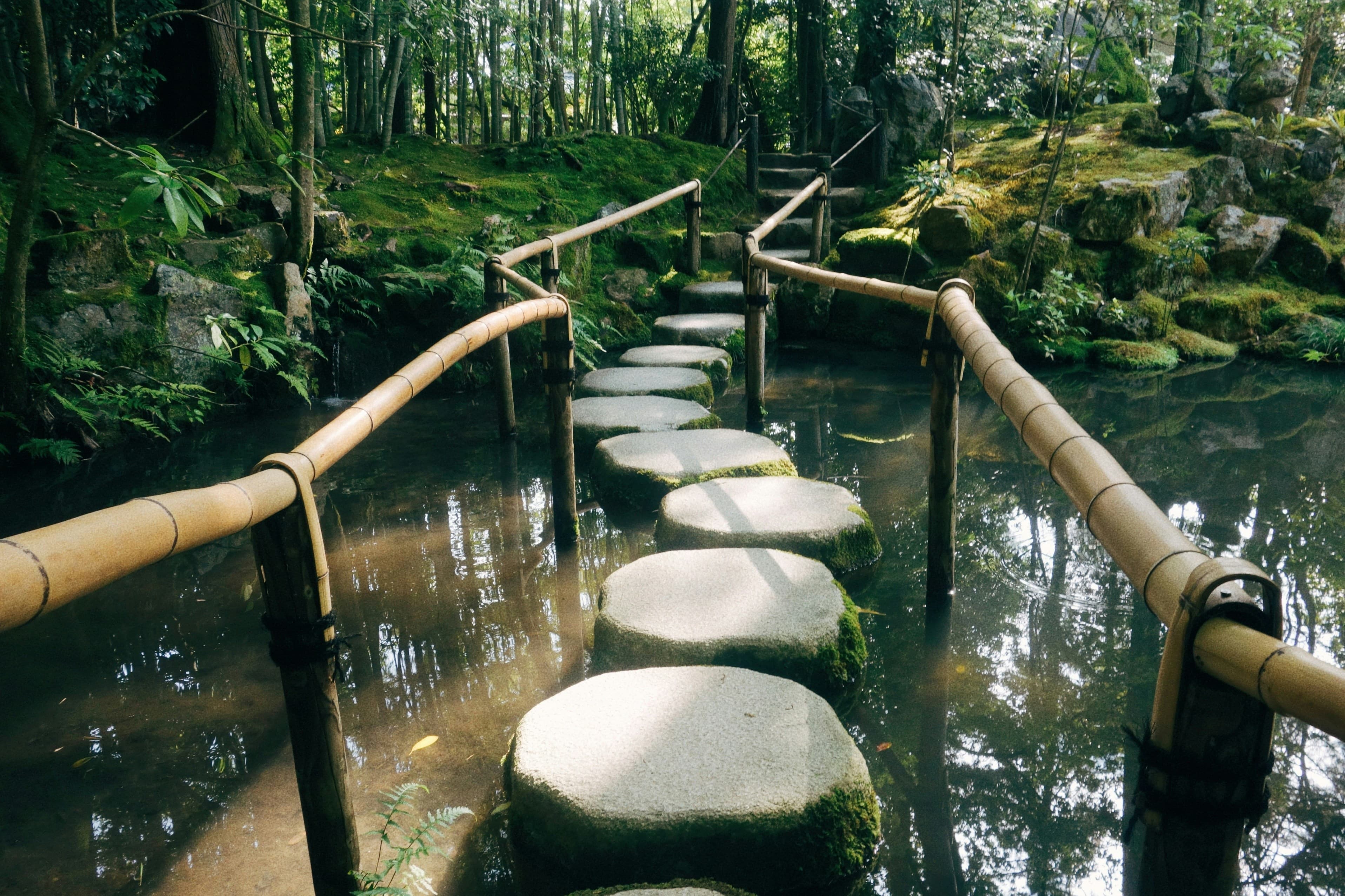 A set of stepping stones crossing a stream, Kyoto, Japan